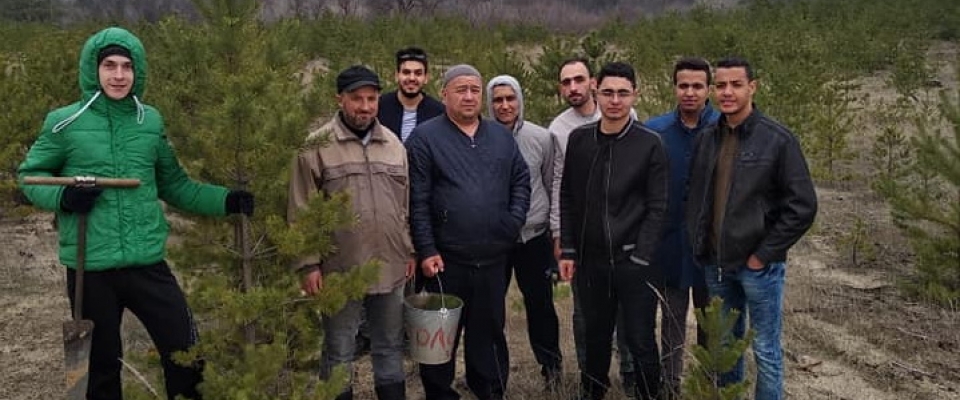 Успели перед карантином мусульмане Северодонецка высадили 1200 деревьев
