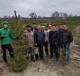 Cut in Fine Before Quarantine: Severodonetsk Muslims Planted 1200 trees